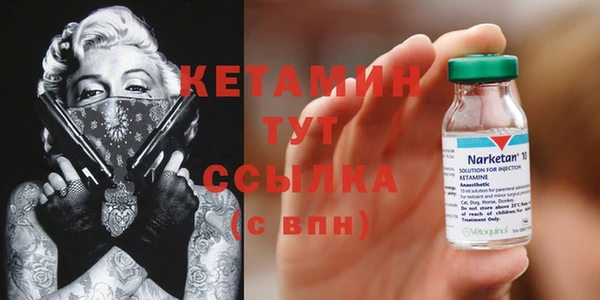 прущие грибы Богданович