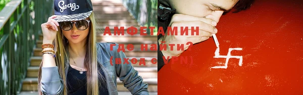 прущие грибы Богданович