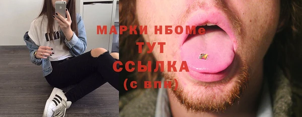 прущие грибы Богданович