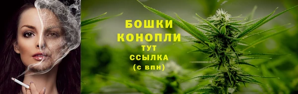 прущие грибы Богданович