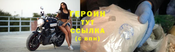 прущие грибы Богданович