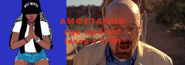 прущие грибы Богданович