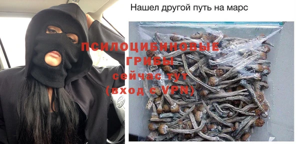 а пвп мука Бородино