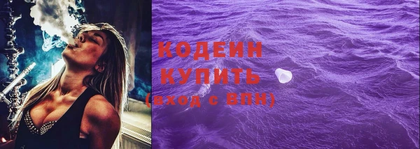 прущие грибы Богданович