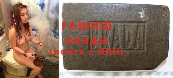 прущие грибы Богданович