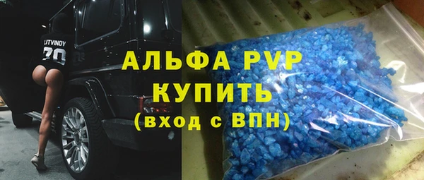 прущие грибы Богданович