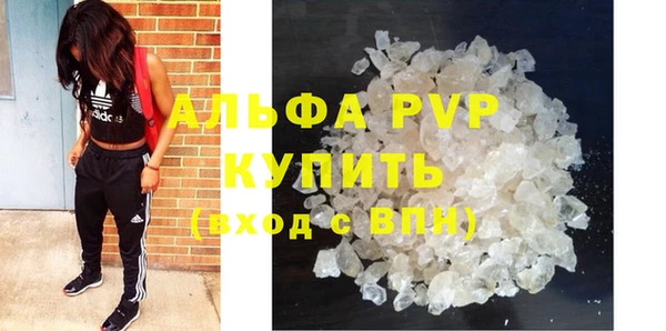 прущие грибы Богданович