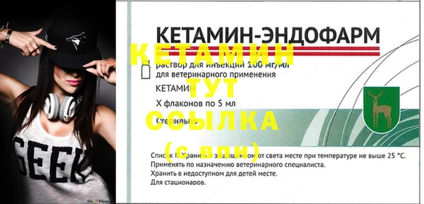 прущие грибы Богданович